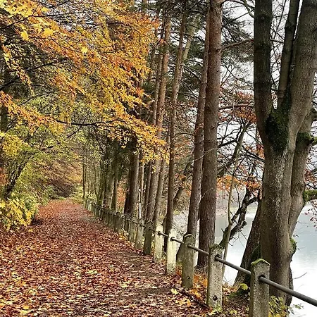 Willa Villa Diemelsee Diemelsee