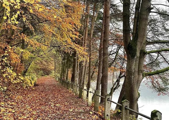 Villa Villa Diemelsee Diemelsee